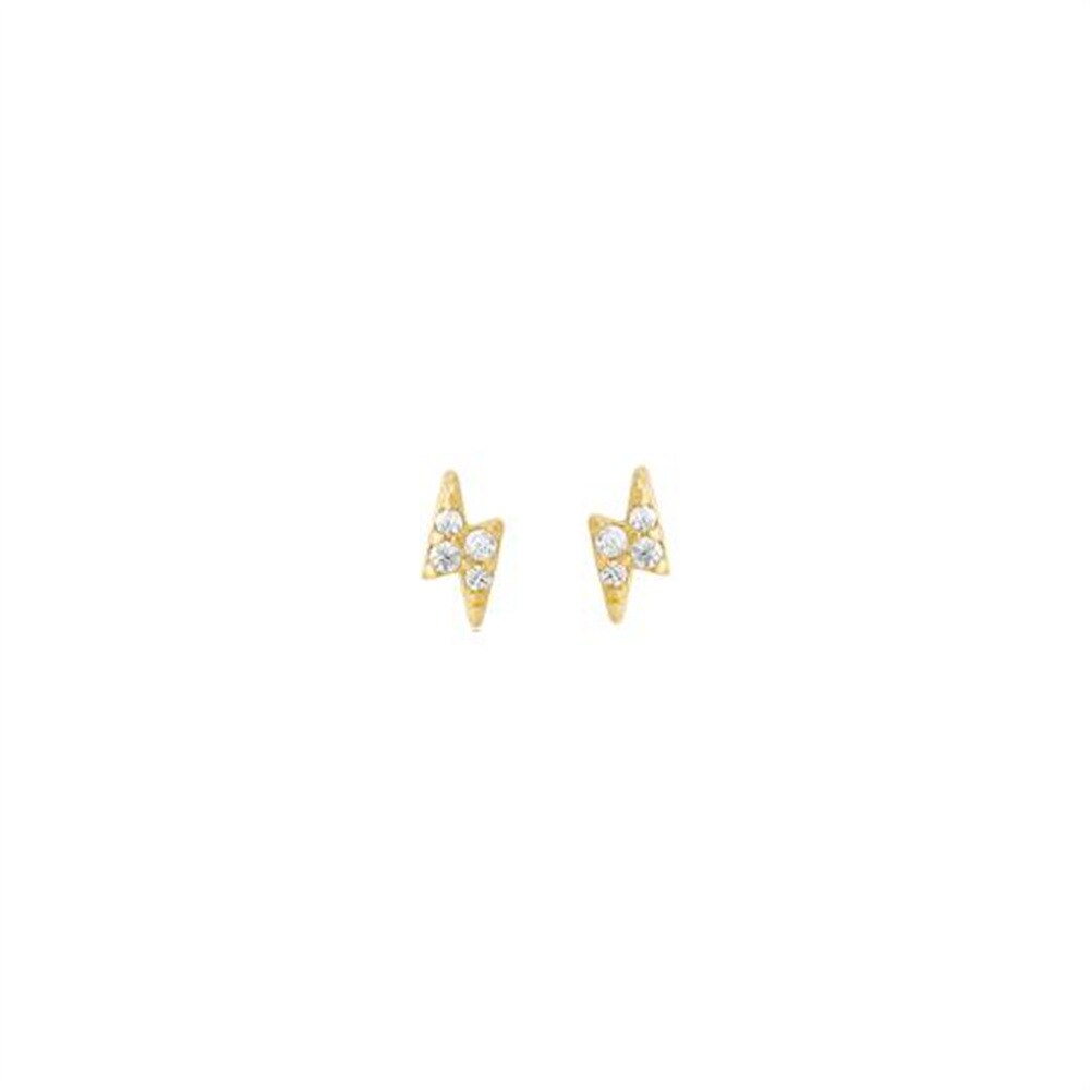 STARLIGHT EARRING COLLECTION 316L